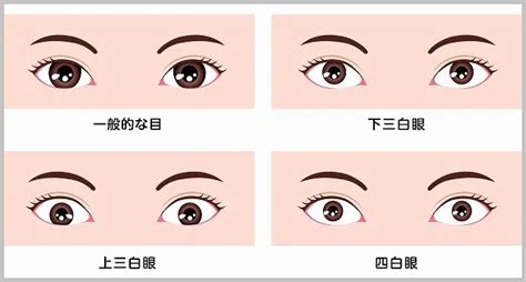 桃花眼 三白眼|【あなたはどれ？】目の形の種類＆見分け方をご紹介！半開き・。